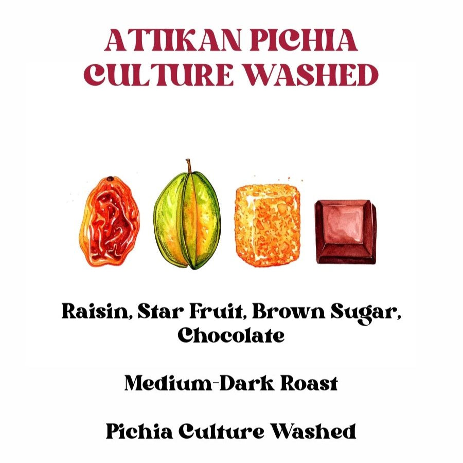Attikan Pichia Culture Washed (SCA 84+) Attikan Pichia Culture Washed (SCA 84+)