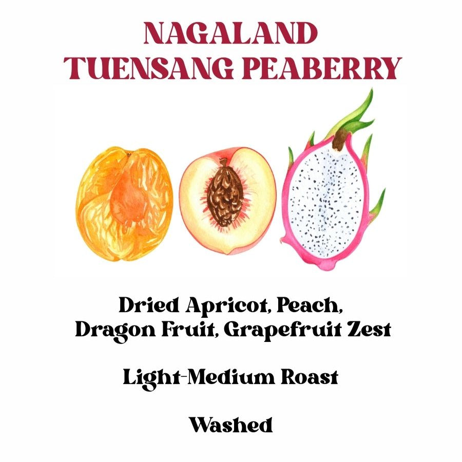 Nagaland Tuensang Peaberry (SCA 85+) Nagaland Tuensang Peaberry (SCA 85+)