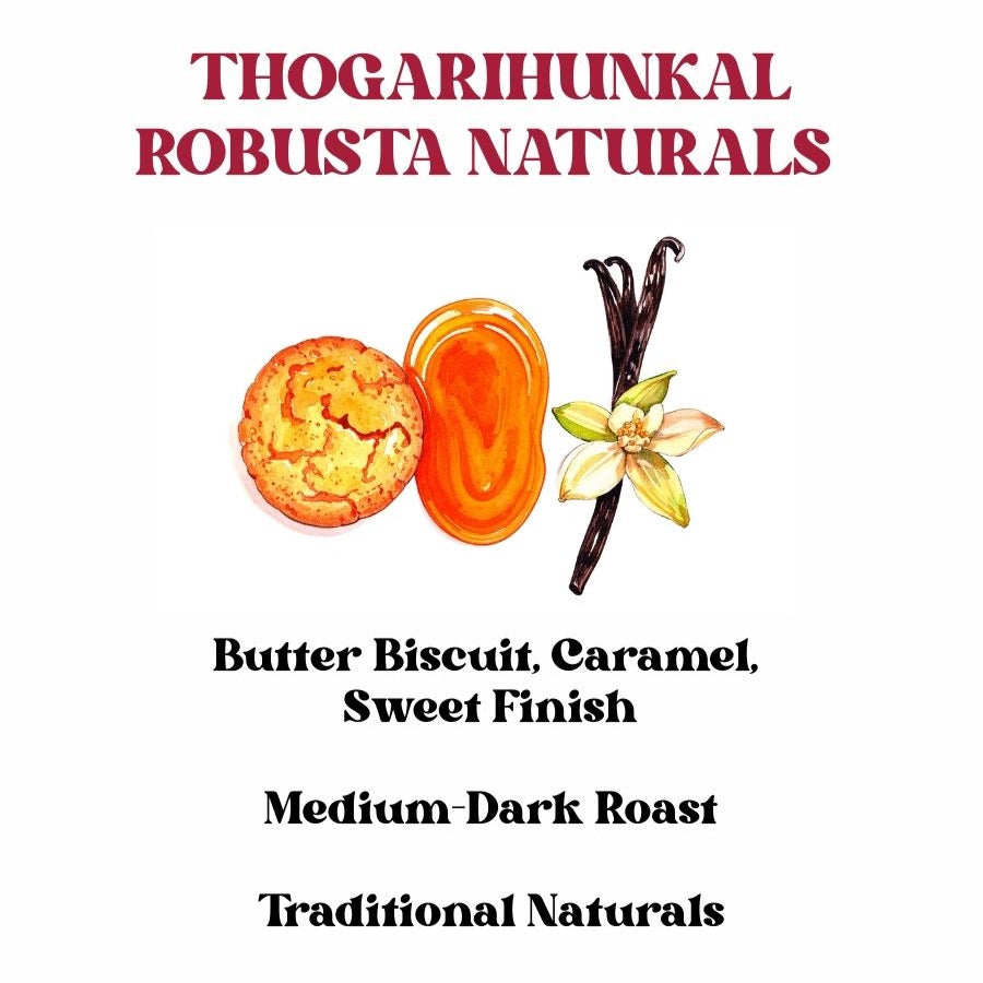 Thogarihunkal Robusta Naturals A