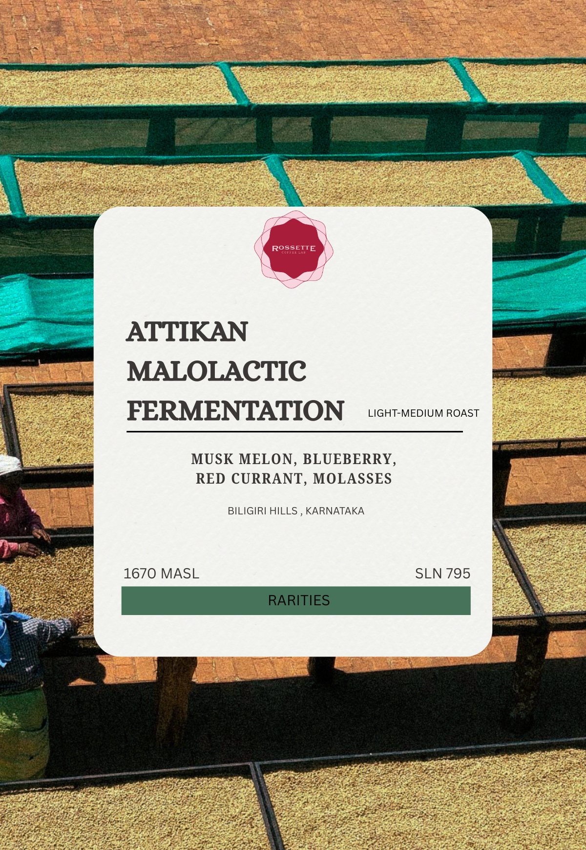 Attikan Malolactic Fermentation (SCA 86+)