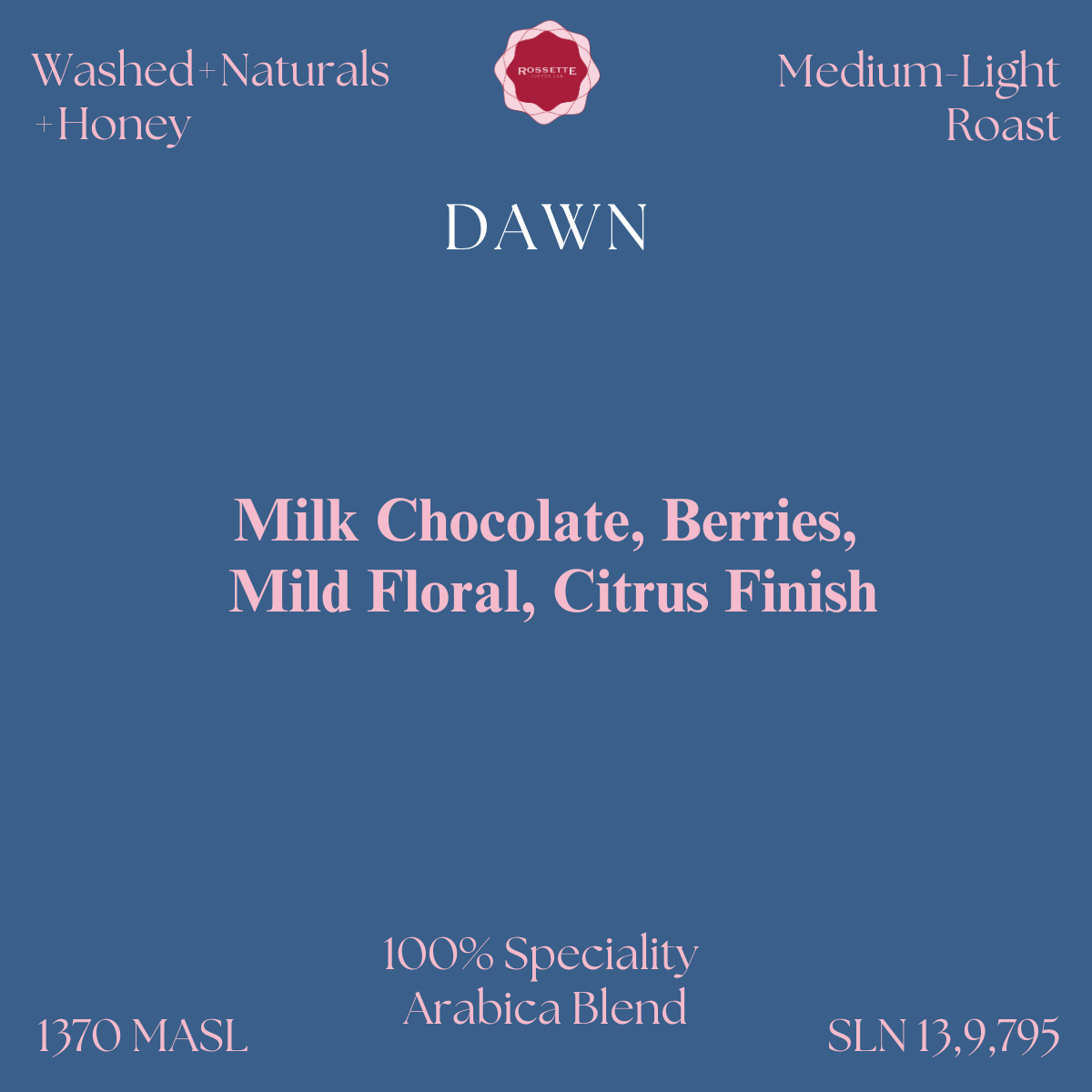 Dawn Cold Brew Blend