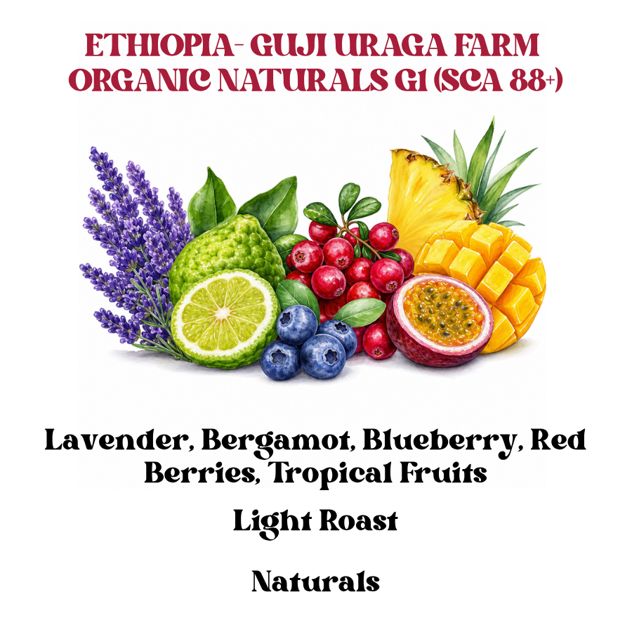 ETHIOPIA- GUJI URAGA FARM ORGANIC NATURALS G1 (SCA 88+)