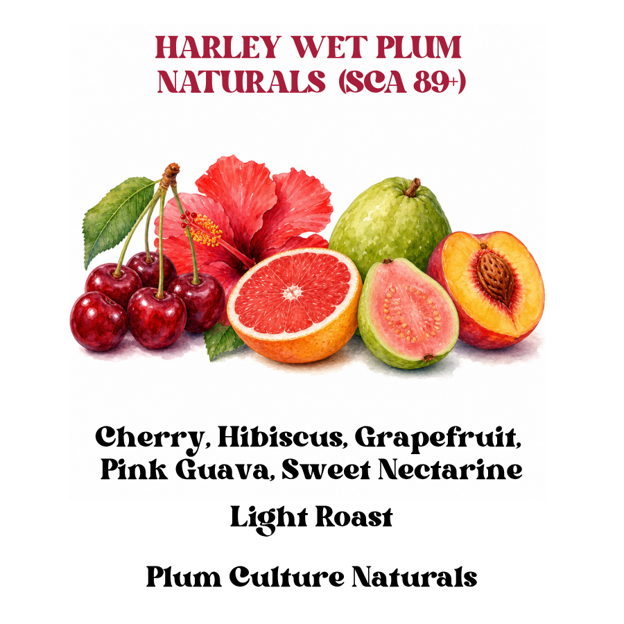 Harley Wet Plum Naturals (SCA 89+)