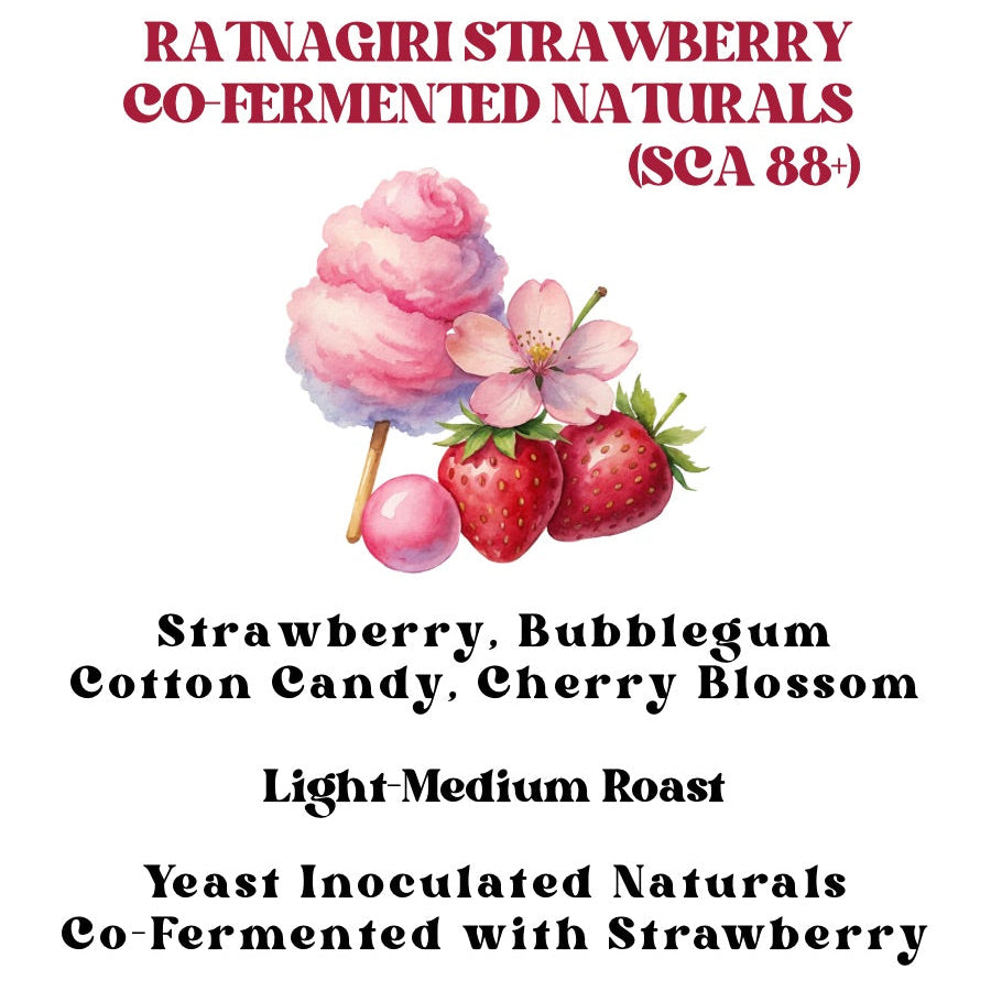 Ratnagiri Strawberry Co-Fermented Naturals (SCA 88+)