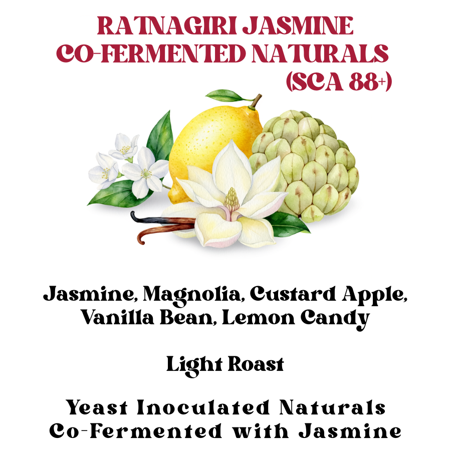 Ratnagiri Jasmine Co-Fermented Naturals (SCA 88+)