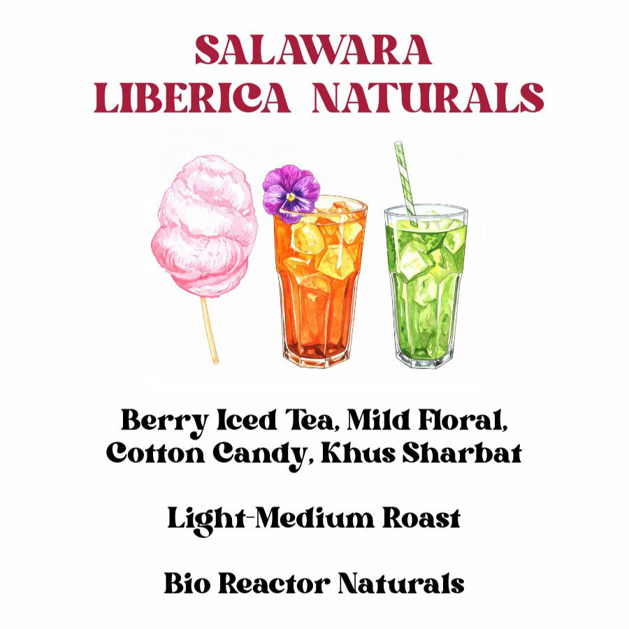 Salawara Liberica Naturals