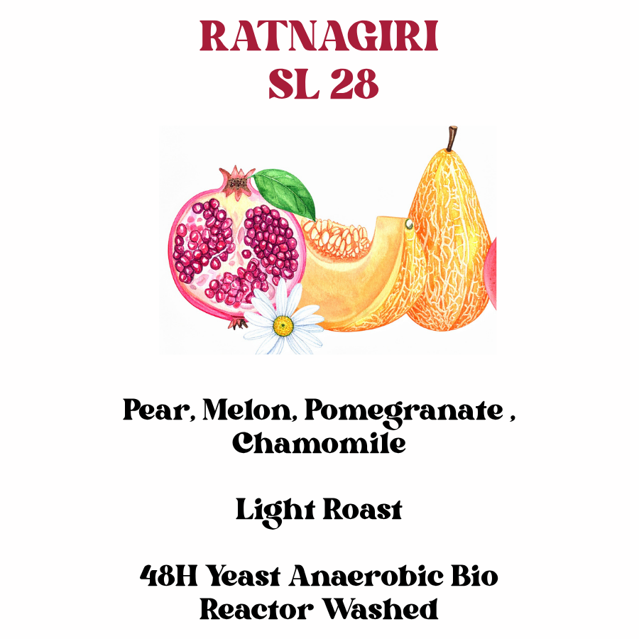 Ratnagiri SL 28 (SCA 85+)