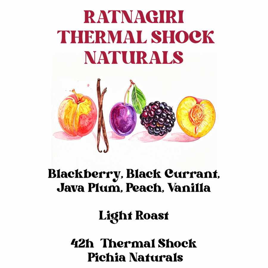 Ratnagiri Thermal Shock Naturals (SCA 87+)