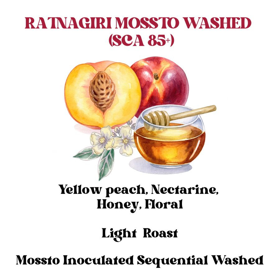 Ratnagiri Mossto Inoculated Sequential Washed Light (SCA 85+)