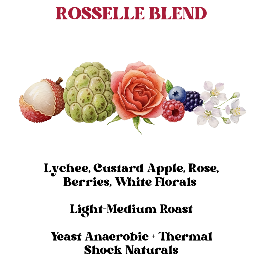 Rosselle Blend (SCA 88+)