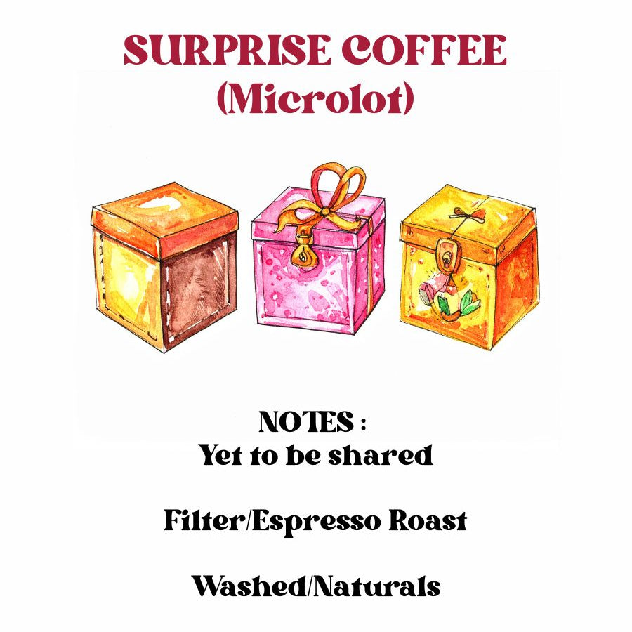 Surprise Coffee ( Omni Roast Honey )