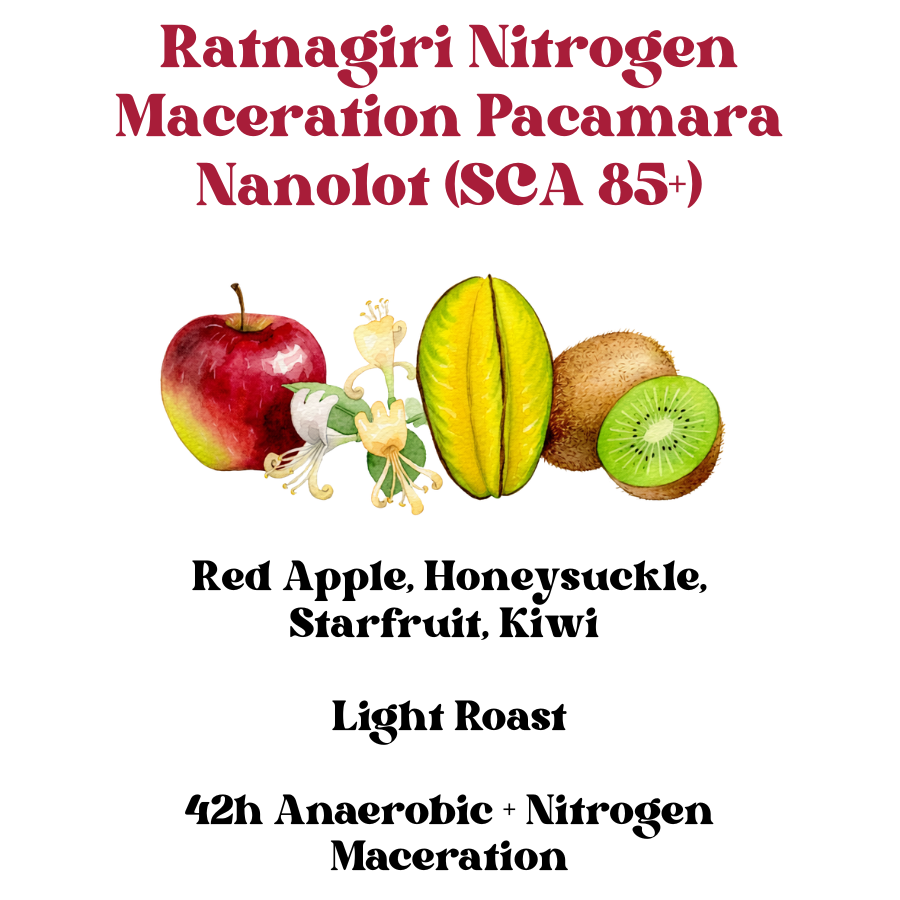 Ratnagiri Nitrogen Maceration Pacamara Nanolot (SCA 85+)