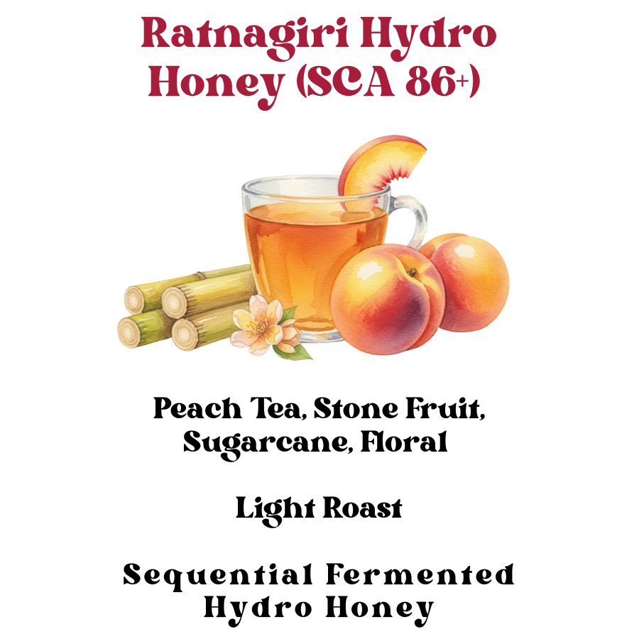 Ratnagiri Hydro Honey (SCA 86+)
