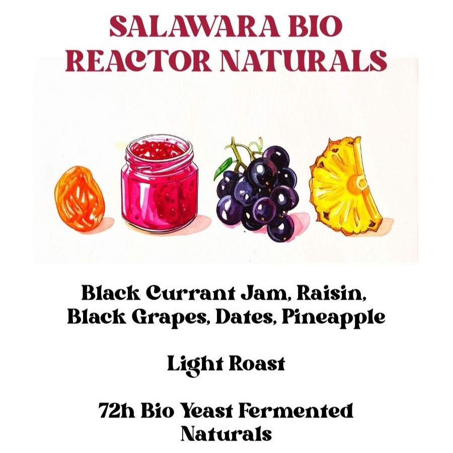 Salawara Bio Reactor Naturals (SCA 86+)