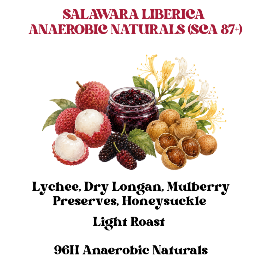 Salawara Liberica Anaerobic Naturals (SCA 87+)