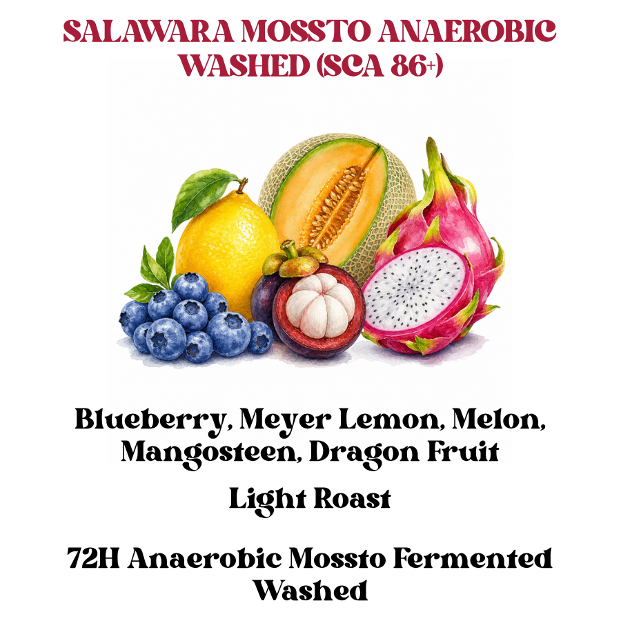 Salawara Mossto Anaerobic Washed (SCA 86+)