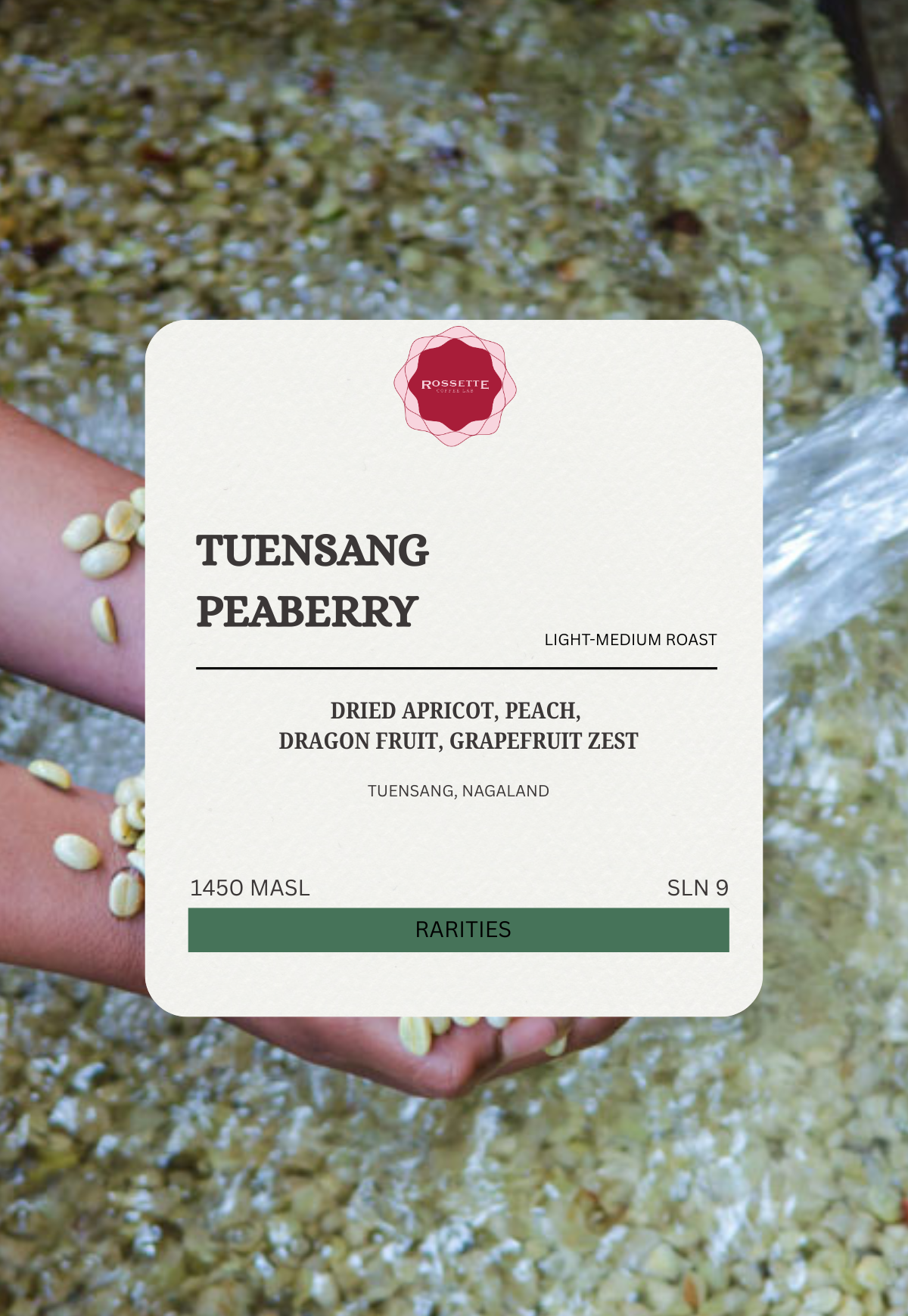 Nagaland Tuensang Peaberry (SCA 85+)