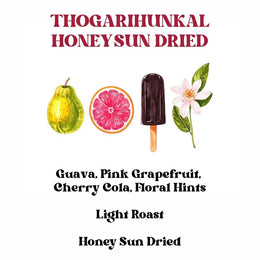 Thogarihunkal Honey Sun Dried (SCA 85+)