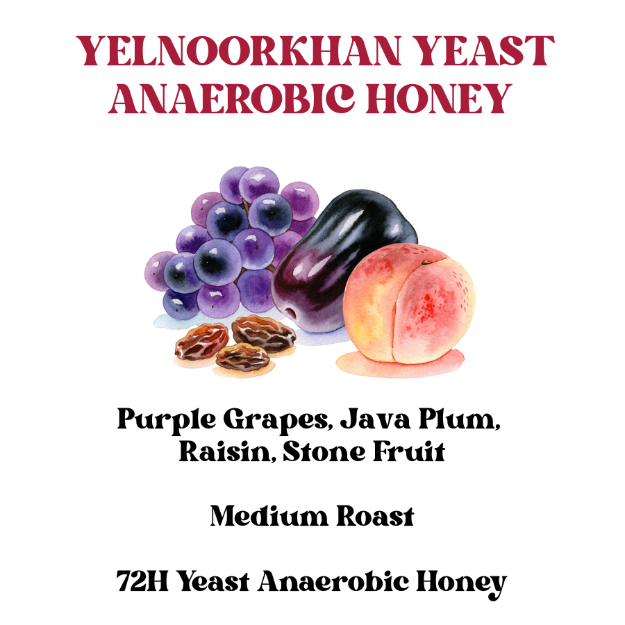 Yelnoorkhan Yeast Anaerobic Honey (SCA 85+)