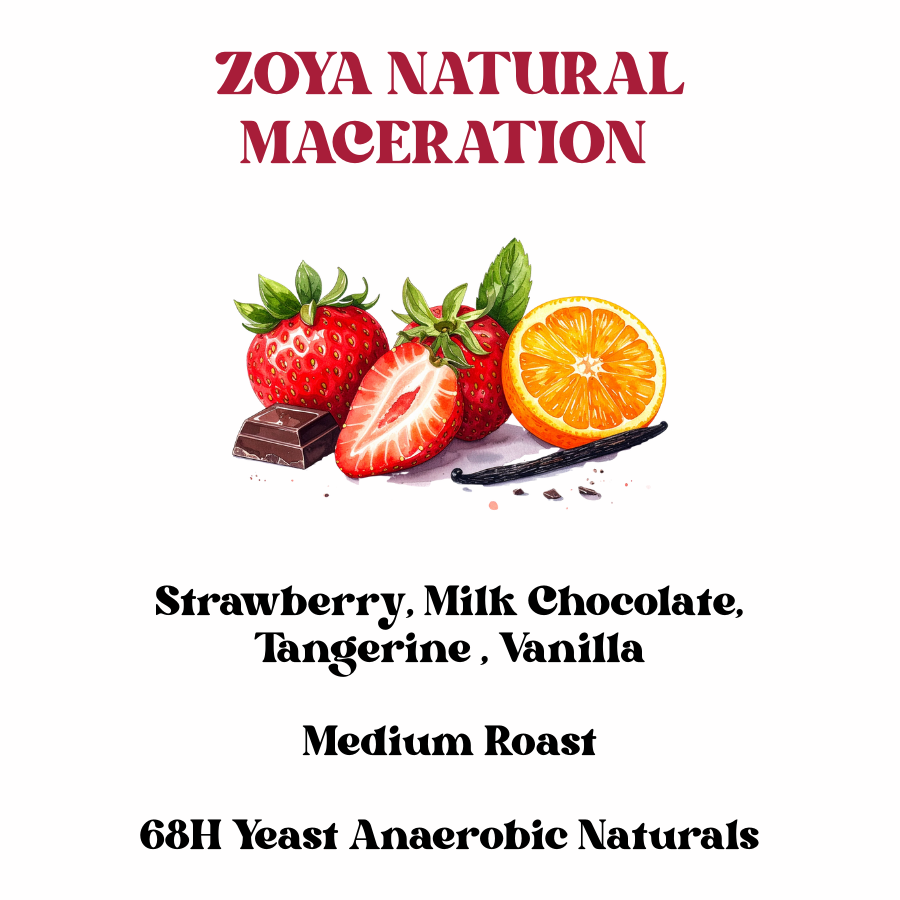 Zoya Natural Maceration (SCA 86+)