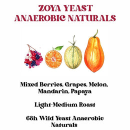 Zoya Yeast Anaerobic Naturals (SCA 86+)