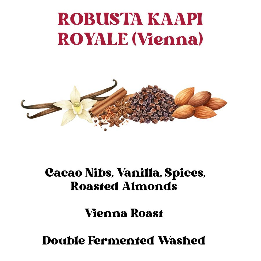 Robusta Kaapi Royale (Vienna)