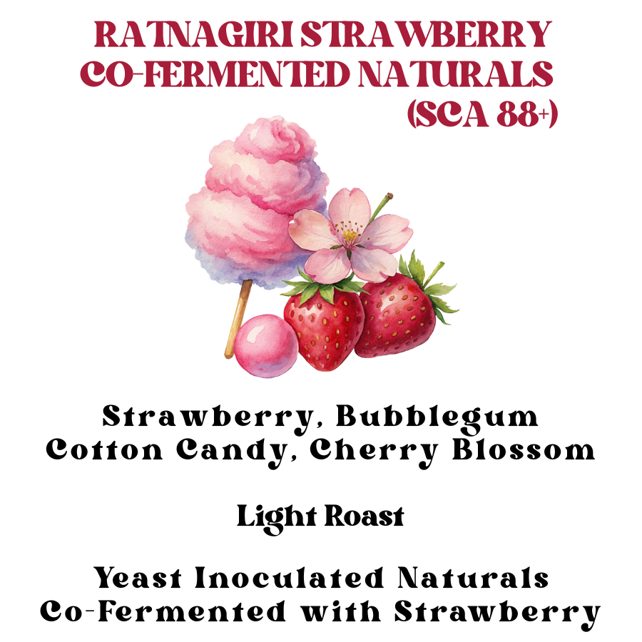 Ratnagiri Strawberry Co-Fermented Naturals (SCA 88+)
